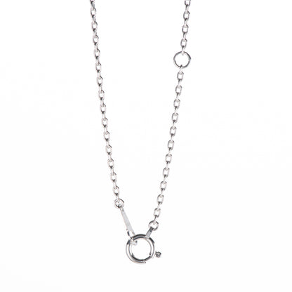 1.02ct Eカラー SI2 ダイヤモンドペンダント　プラチナ900/850製(1.02ct E SI2 Ex ) HRD