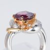 ガーネットxダイヤモンド プラチナリング G: 4.47 ct D: 0.2ct Pt900 - 画像 (5)