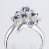 サファイアxダイヤモンド プラチナリング S: 0.76 ct D: 0.63ct Pt900 - 画像 (5)