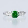 0.94ct デマントイドガーネット　プラチナリング(DG:0.94ct D:0.30ct Pt900)