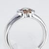 ブラウンダイヤモンド プラチナリング BrD: 1.02 ct D: 0.07ct Pt900 - 画像 (5)