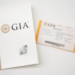 GIAで充填物質（フィラー）鑑別の記載開始